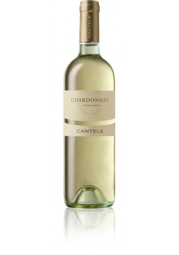 Chardonnay IGT Salento