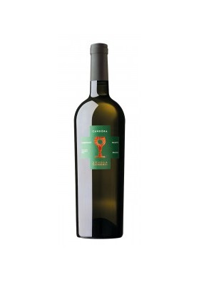 Candòra Chardonnay I.G.T Salento White