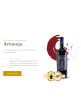 Armonja Trywine - IGP Salento Primitivo
