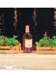 Astrea - I.G.T. Salento - Primitivo Rosato