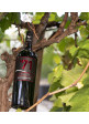 ’71 - Primitivo del Salento I.G.T.