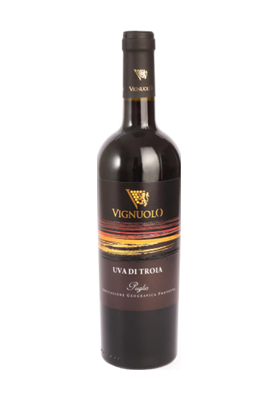 Nero di Troia I.G.P.