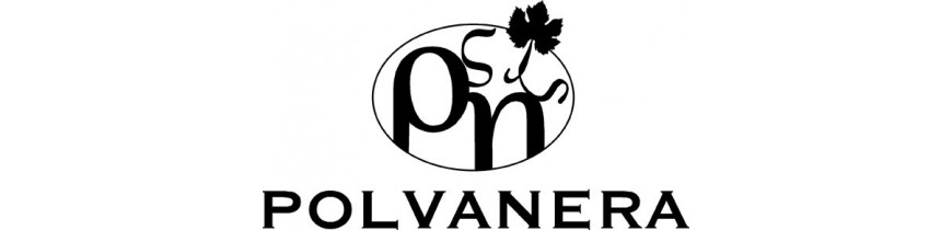 Polvanera