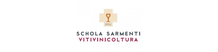 Schola Sarmenti