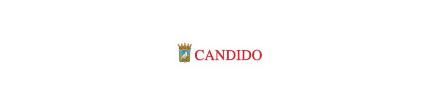 Candido Candido